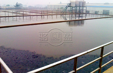 上海jdb电子向百色右江区污水处理厂供应橡胶止回阀
